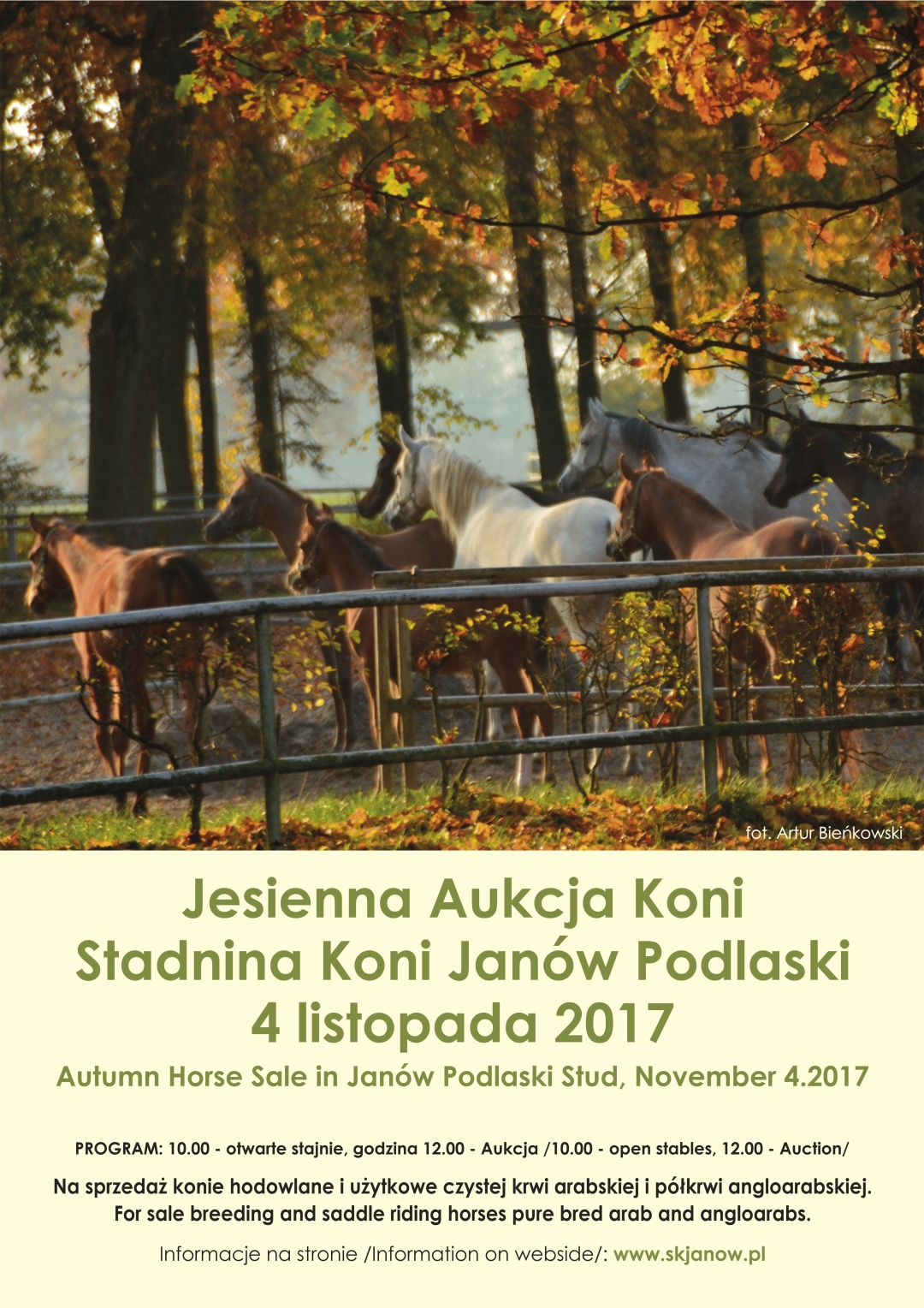 Jesienna Aukcja Koni / Autumn Horse Sale – 04.11.2017