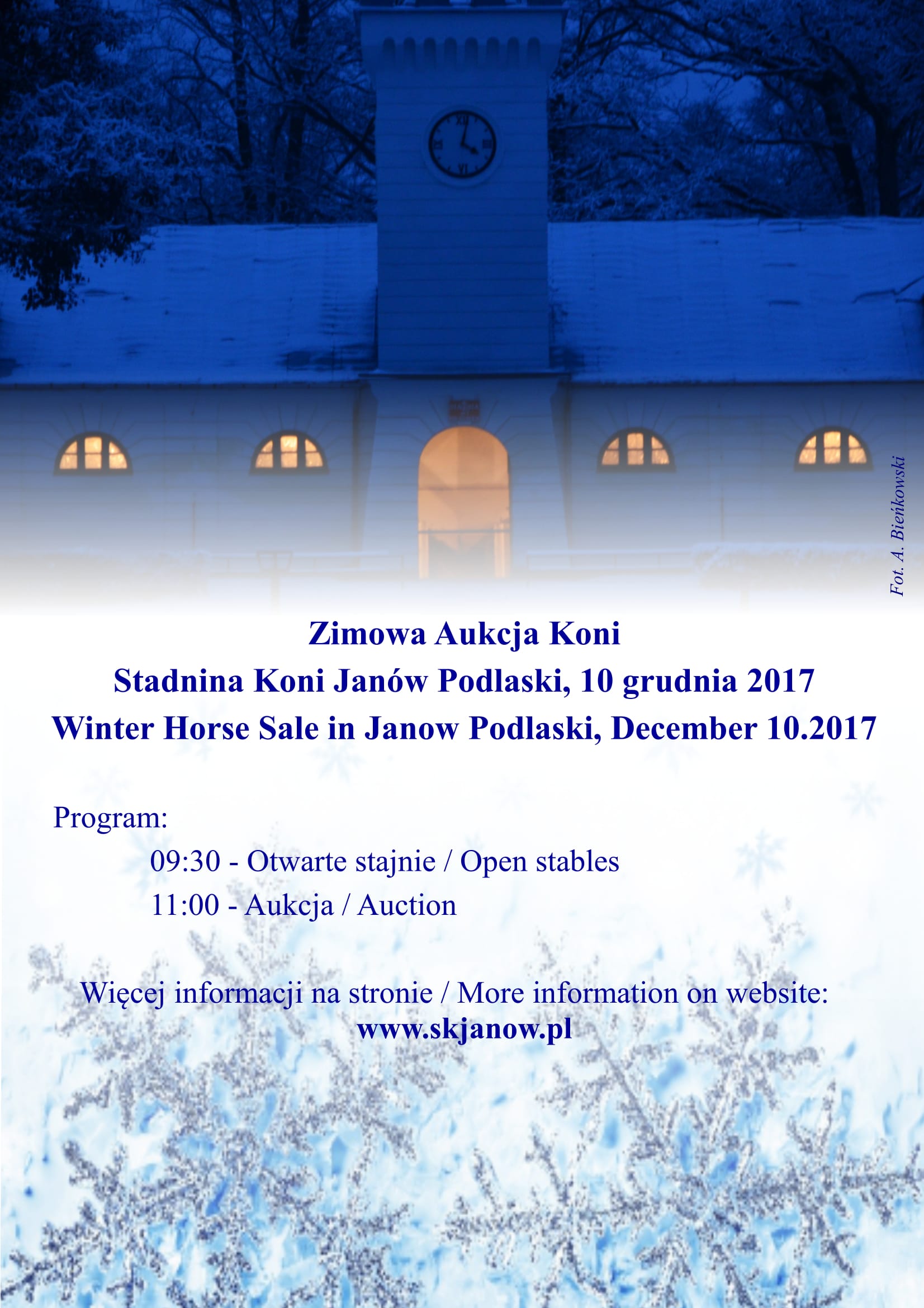 Zimowa Aukcja Koni / Winter Horse Sale – 10.12.2017
