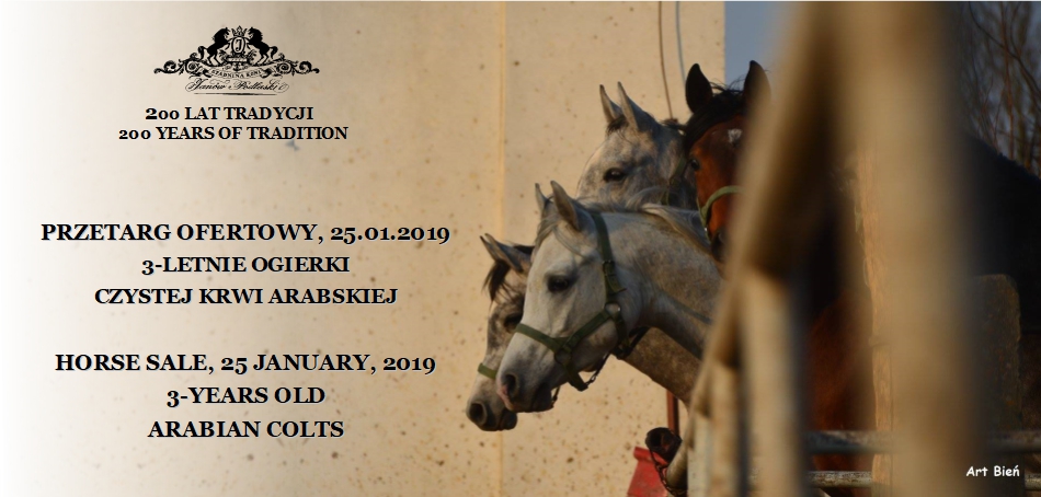 Przetarg ofertowy/Horse sale – 25.01.2019