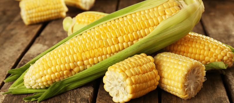 Zaproszenie do złożenia oferty cenowej na materiał siewny kukurydzy