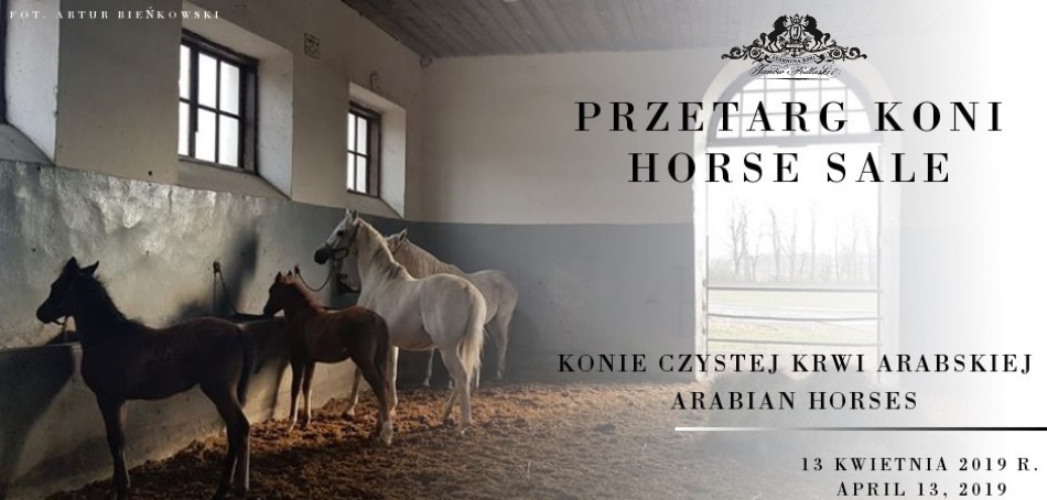 Przetarg koni – 13.04.2019/Horse sale – April 13, 2019