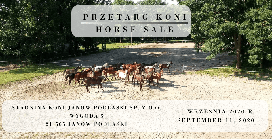 Przetarg koni/Horse sale 11.09.2020