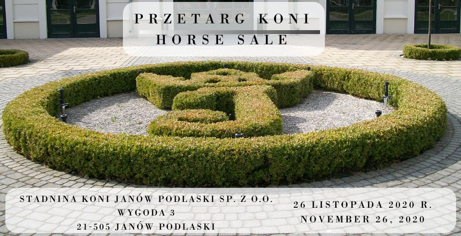 Przetarg koni/Horse sale 26.11.2020