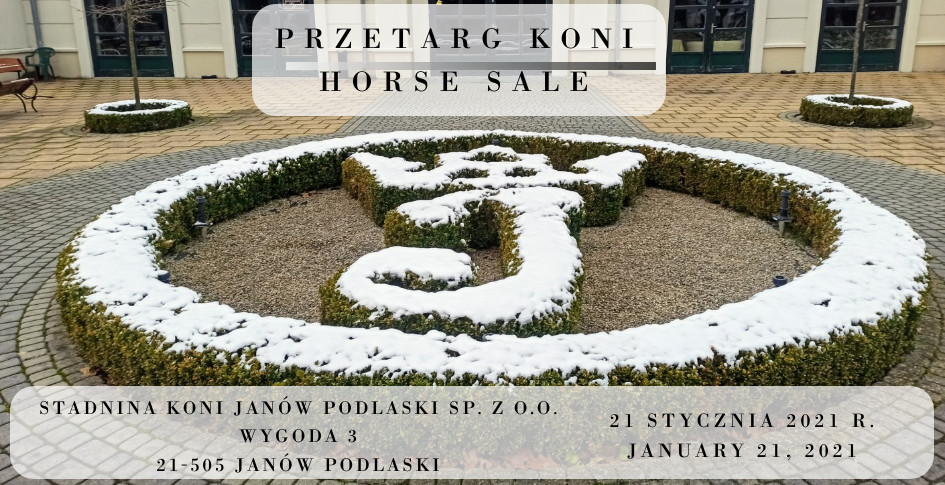 Przetarg koni/Horse sale 21.01.2021