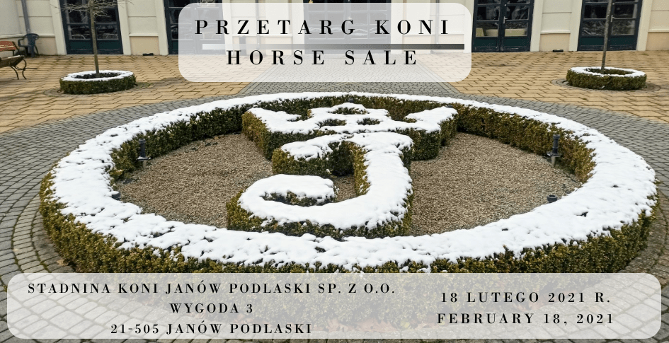 Przetarg koni/Horse sale 18.02.2021