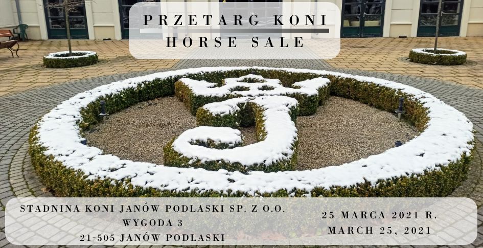 Przetarg koni/Horse sale 25.03.2021