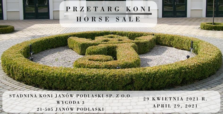 Przetarg koni/Horse sale 29.04.2021