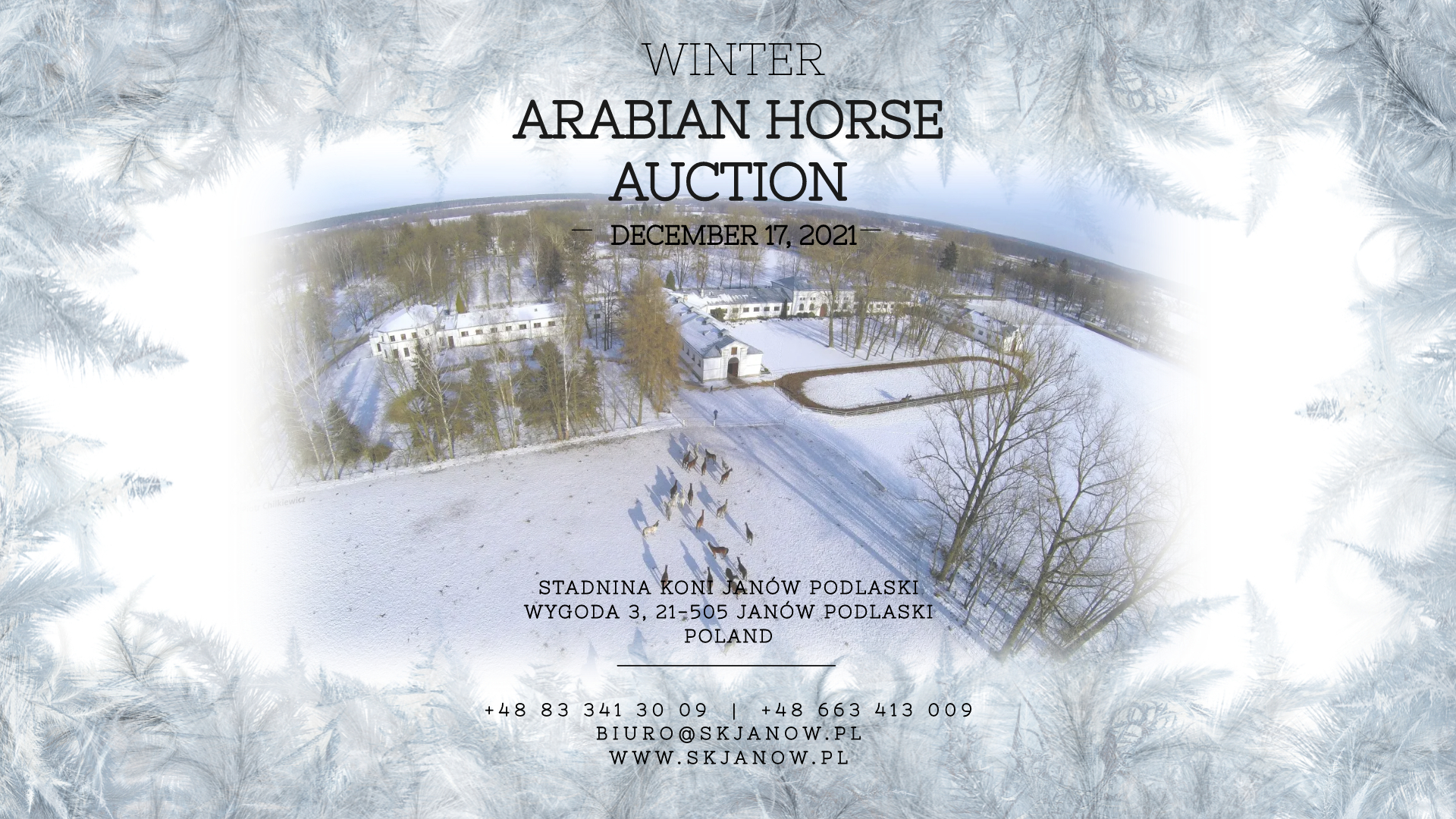 Zimowa Aukcja Koni/Winter Arabian Horse Auction – 17.12.2021