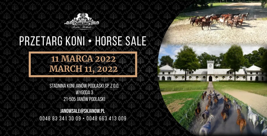 Przetarg koni/Horse sale 11.03.2022