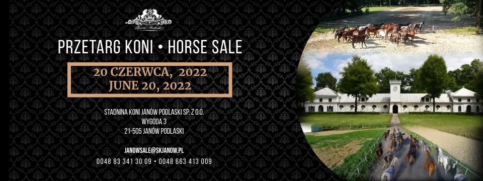 Przetarg koni/Horse sale 20.06.2022