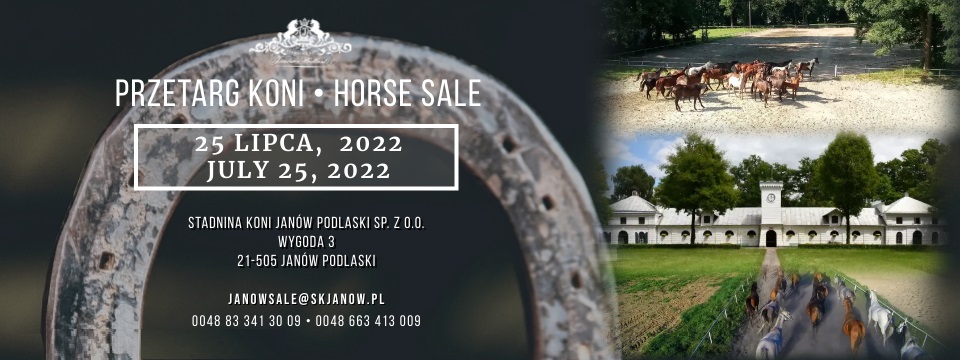 Przetarg koni/Horse sale 25.07.2022