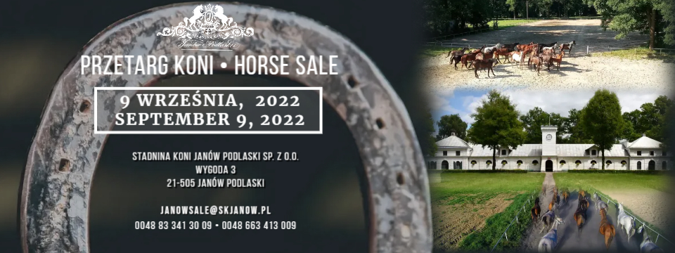 Przetarg koni/Horse sale 09.09.2022