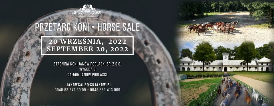 Przetarg koni/Horse sale 20.09.2022