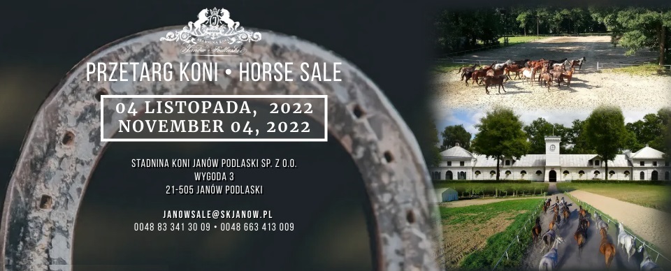 Przetarg koni/Horse sale 04.11.2022