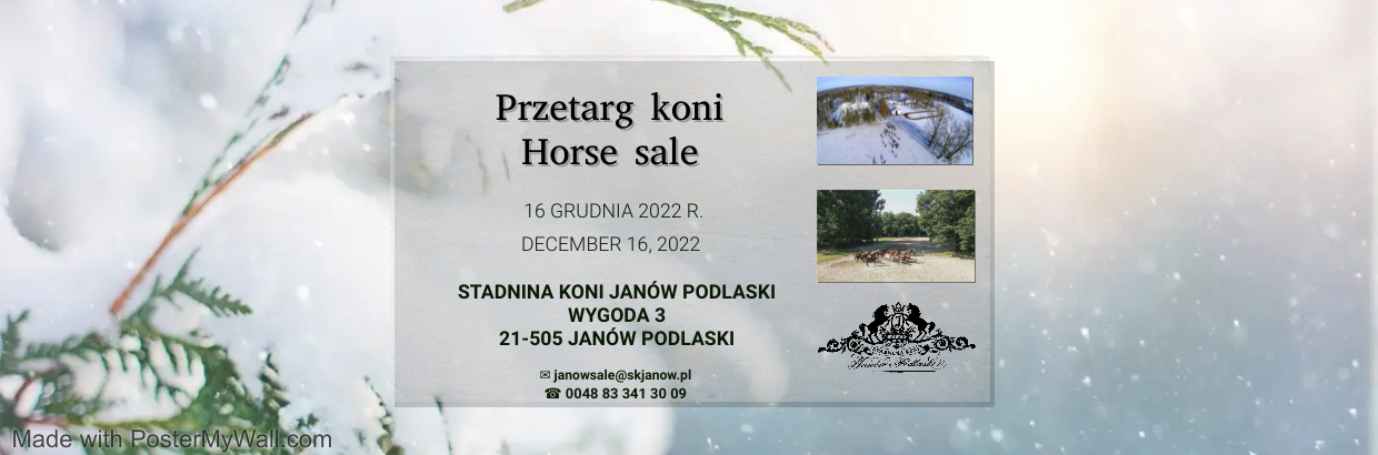 Przetarg koni/Horse sale 16.12.2022