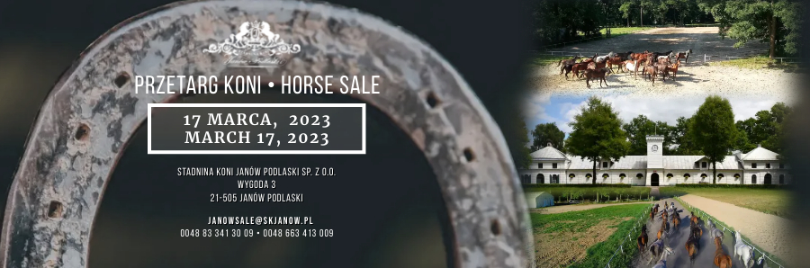Przetarg koni/Horse sale 17.03.2023
