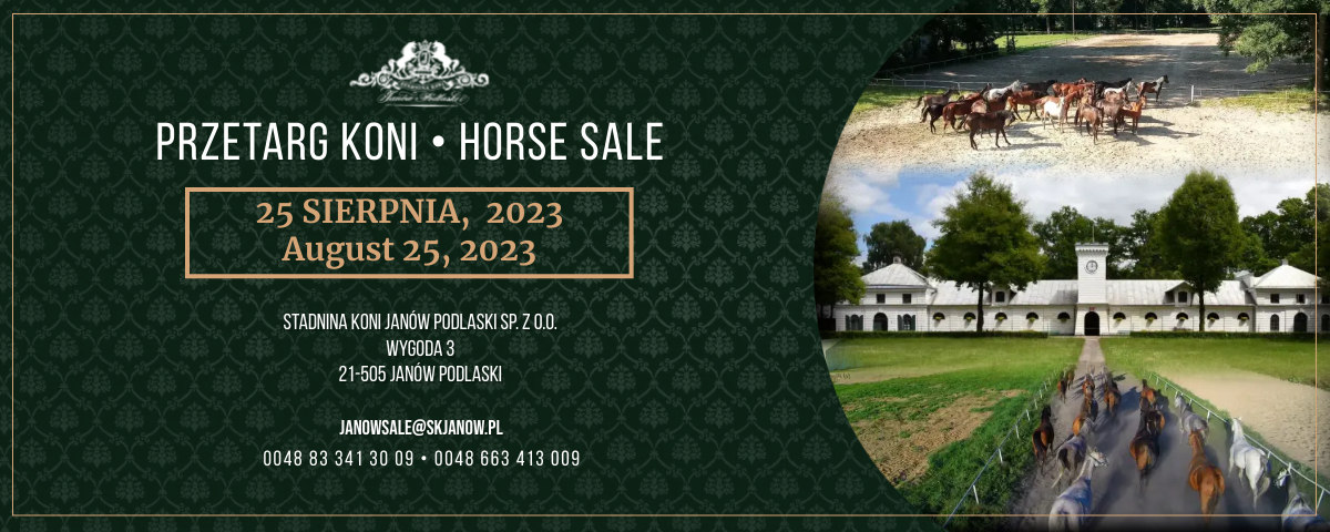 Przetarg koni/Horse sale 25.08.2023